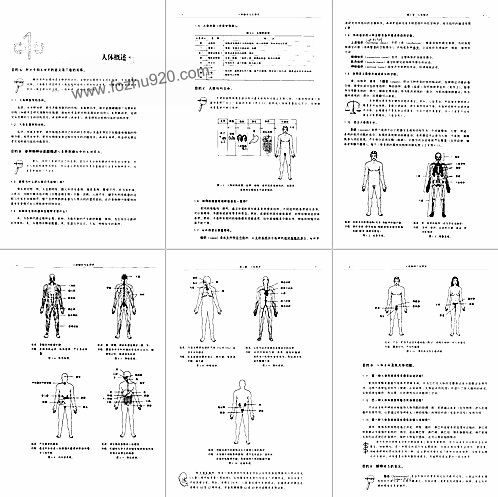 王中王免费资料大全料大全一一l_最佳精选解剖落实_尊贵版172.150.235.224