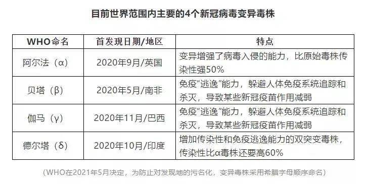 2024年11月2日 第21页