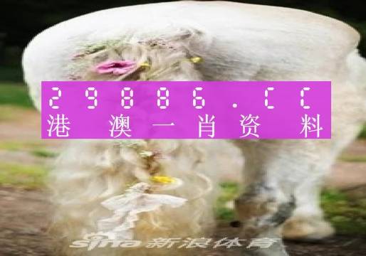 2023年澳门一肖一码_含义落实_时代资料_VS192.253.181.185